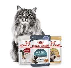 Obtenha uma nutrição completa e equilibrada incluindo ração húmida na dieta do seu gato