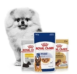 Obtenha uma nutri&ccedil;&atilde;o completa e equilibrada incluindo ra&ccedil;&atilde;o h&uacute;mida na dieta do seu c&atilde;o