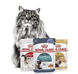 Obtenha uma nutri&ccedil;&atilde;o completa e equilibrada incluindo ra&ccedil;&atilde;o h&uacute;mida na dieta do seu gato