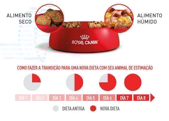 COMBINA ração SECA E HÚMIDA PARA UMA ALIMENTAÇÃO ÓTIMA